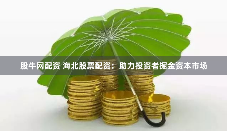 股牛网配资 海北股票配资：助力投资者掘金资本市场