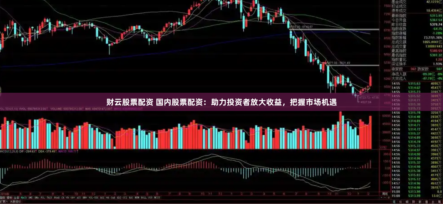 财云股票配资 国内股票配资：助力投资者放大收益，把握市场机遇